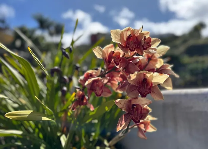 Casa Julián Сasa de vacaciones *