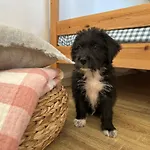 Дом отдыха Casa Julian