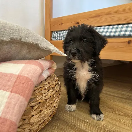 Prázdninový dům Casa Julián